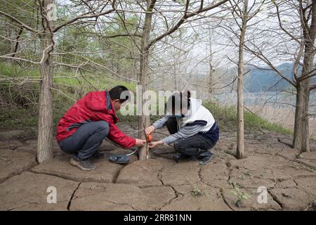 210412 -- ZHONGXIAN, April 12, 2021 -- Researchers measure the growth of vegetation at a sampling point in Zhongxian County, southwest China s Chongqing, April 11, 2021. The Three Gorges project is a vast multi-functional water-control system on the Yangtze River, China s longest waterway, with a 2,309-meter-long and 185-meter-high dam. The water levels of the reservoir area inevitably fluctuate on an annual discharge-storage cycle between 145m to 175m at the dam. The water level fluctuation zone also encounters some eco-environmental problems, including soil erosion and non-point source pollu Stock Photo