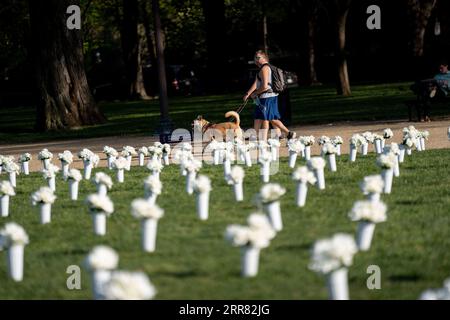 210414 -- WASHINGTON, April 14, 2021 -- People walking dogs pass the National Mall where 40,000 white silk flowers are installed to honor the nearly 40,000 Americans who die every year from gun violence in Washington, D.C., the United States, April 13, 2021.  U.S.-WASHINGTON D.C.-GUN VIOLENCE-SILK FLOWERS LiuxJie PUBLICATIONxNOTxINxCHN Stock Photo