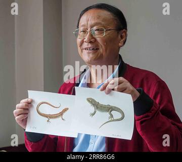 210421 -- CHENGDU, April 21, 2021 -- Li Jian shows two of his recent drawings in his office at the Chengdu Institute of Biology of the Chinese Academy of Sciences in Chengdu, southwest China s Sichuan Province, on April 13, 2021. It is my duty to depict these cute animals from the best angles, with the most accurate details, and in the closest colors for the readers, said Li Jian, a 60-year-old senior experimentalist of the Chengdu Institute of Biology of the Chinese Academy of Sciences. Li has been drawing for scientific purposes since he joined the institute in 1978, during which he acquired Stock Photo