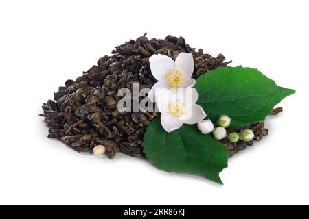 Dried tea leaves and fresh jasmine flowers with green leaf isolated on white background Stock Photo