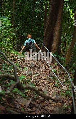 Man hikes in mountainous tropical forest holding security ropes. Visiting Khao Phanom Bencha National Park, Krabi Province, Thailand Stock Photo