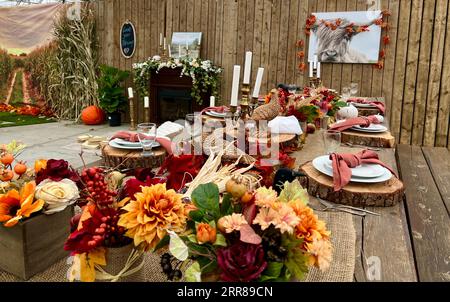 On table there are plates on wooden stands next to forks knives and glasses Dry heads of red and black corn red napkins in middle everything is ready for dinner on Halloween autumn October evening  Stock Photo