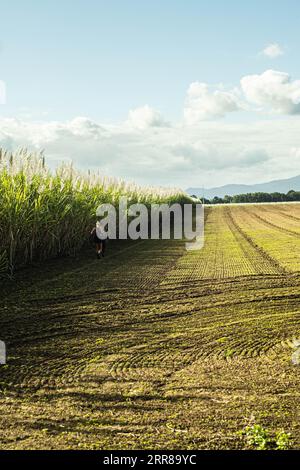 Two people walking on a grassy field in the countryside Stock Photo