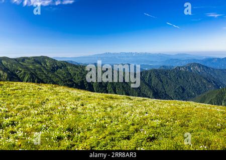 Asahi Mountain Range trekking, distant view of Iide Mountain Range, alpine flower garden, 100 mountains of Japan, Yamagata, Tohoku, Japan, Asia Stock Photo