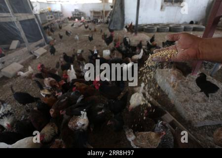 Palestinian village of Beit Rima in the municipality of Bani Zeid al ...