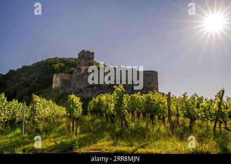 Hinterhaus castle, Spitz, Lower Austria, Austria Stock Photo