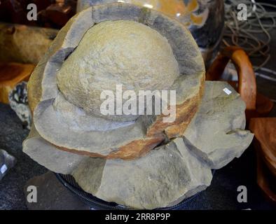 A close-up of a dinosaur egg fossil in a gem store Stock Photo