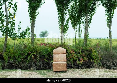 Photo of an old sofa in the middle of a green plain. Stock Photo