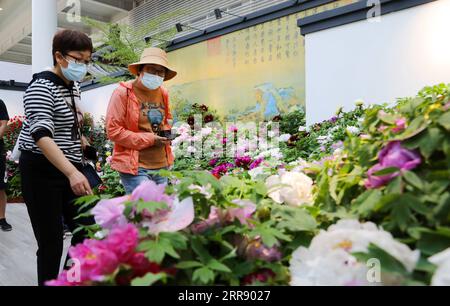 210521 -- SHANGHAI, May 21, 2021 -- People visit the 10th China Flower Expo in east China s Shanghai, May 21, 2021. The 10th China Flower Expo opened here on Friday, welcoming over 20,000 visitors on its first day. The expo, held to showcase the development of China s flower industry, will last until July 2. A total of 180 outdoor exhibition zones and 64 indoor areas have been set up at the expo park in the city s Chongming District.  CHINA-SHANGHAI-10TH FLOWER EXPO CN FangxZhe PUBLICATIONxNOTxINxCHN Stock Photo