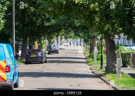 Tree lined suburban avenue in Southend on Sea, Essex, UK, with trees creating a green tunnel Stock Photo