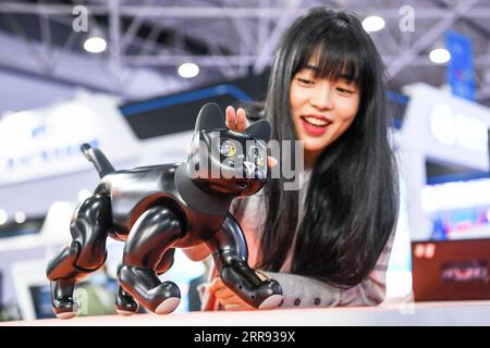 210526 -- GUIYANG, May 26, 2021 -- A staff member interacts with an AI-powered robotic cat during the China International Big Data Industry Expo 2021 in Guiyang, southwest China s Guizhou Province, May 26, 2021. The expo opened here on Wednesday, showcasing cutting-edge scientific and technological innovations and achievements in relevant areas.  CHINA-GUIZHOU-GUIYANG-BIG DATA INDUSTRY EXPO-TECHNOLOGY CN YangxWenbin PUBLICATIONxNOTxINxCHN Stock Photo