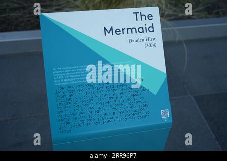 Information Board about The Mermaid Sculpture by Damien Hurst on Greenwich Peninsula. London, UK. Stock Photo