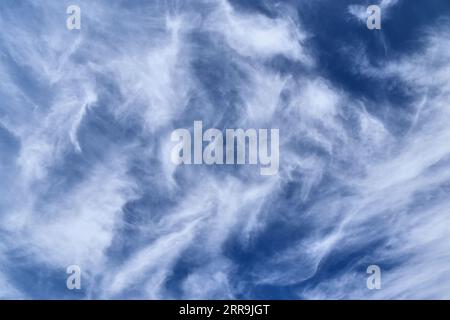 Stunning Cirrus Cloud Formation Panorama In A Deep Blue Summer Sky Seen ...