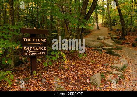 A hiking trail leads to the Flume Gorge in Franconia State Park, New Hampshire on an autumn day Stock Photo