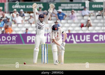 John Simpson of Middlesex appeals for the wicket of Tom Westley during Essex CCC vs Middlesex CCC, LV Insurance County Championship Division 1 Cricket Stock Photo