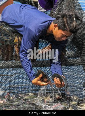 210708 -- BATANGAS, July 8, 2021 -- A fisherman catches tilapia fish near Taal volcano island in Batangas Province, the Philippines on July 8, 2021.  PHILIPPINES-BATANGAS-FISHING RouellexUmali PUBLICATIONxNOTxINxCHN Stock Photo