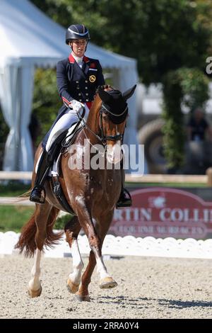 Euro Equestrian Rider Riesenbeck, Germany. 07th Sep, 2023. Equestrian sport: European ...