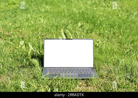 Laptop computer with white screen mock up in the grass on a meadow, green business concept, sustainable lifestyle and environmental protection, and re Stock Photo
