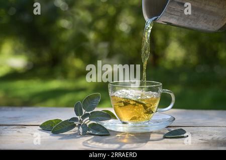 Pouring hot water in a glass cup with sage leaves, healthy herbal tea and home remedy for coughs, sore throat and digestive problems, dark green backg Stock Photo