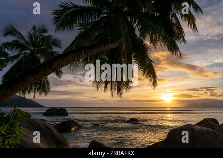 Perfect sunset landscape on a scenic tropical beach with palm trees and boulders in Mahé island, Seychelles Stock Photo