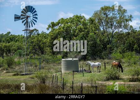 A bore hole wind pump in the outback near Charters Towers, Queensland, Australia Stock Photo