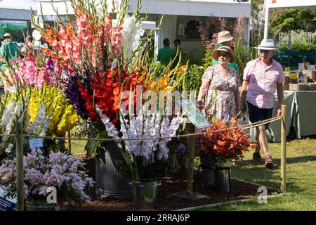 Horticulturist enthusiasts enjoy the hot temperatures at RHS Wisley annual flower show, Surrey, England, UK. 07th Sep, 2023. Credit: Jeff Gilbert/Alamy Live News Stock Photo