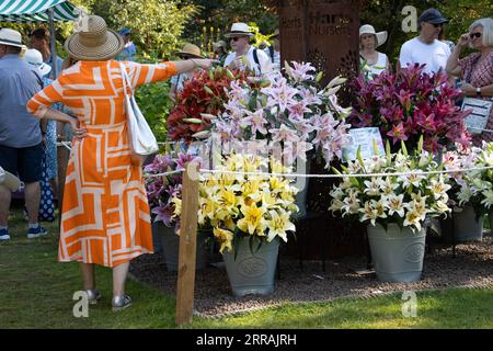 Horticulturist enthusiasts enjoy the hot temperatures at RHS Wisley annual flower show, Surrey, England, UK. 07th Sep, 2023. Credit: Jeff Gilbert/Alamy Live News Stock Photo