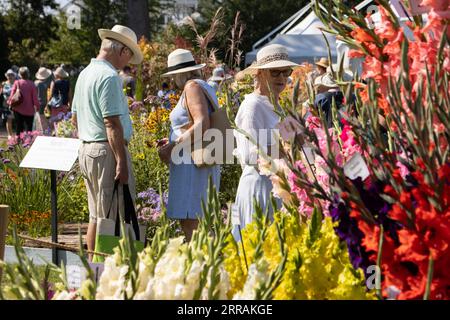 Horticulturist enthusiasts enjoy the hot temperatures at RHS Wisley annual flower show, Surrey, England, UK. 07th Sep, 2023. Credit: Jeff Gilbert/Alamy Live News Stock Photo