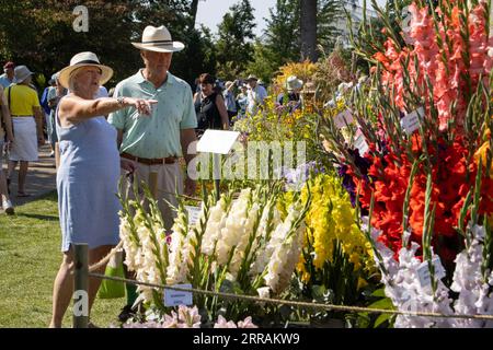 Horticulturist enthusiasts enjoy the hot temperatures at RHS Wisley annual flower show, Surrey, England, UK. 07th Sep, 2023. Credit: Jeff Gilbert/Alamy Live News Stock Photo