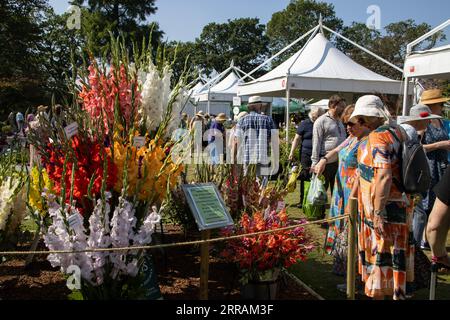 Horticulturist enthusiasts enjoy the hot temperatures at RHS Wisley annual flower show, Surrey, England, UK. 07th Sep, 2023. Credit: Jeff Gilbert/Alamy Live News Stock Photo