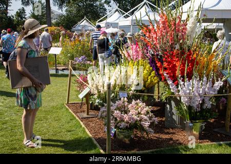 Horticulturist enthusiasts enjoy the hot temperatures at RHS Wisley annual flower show, Surrey, England, UK. 07th Sep, 2023. Credit: Jeff Gilbert/Alamy Live News Stock Photo