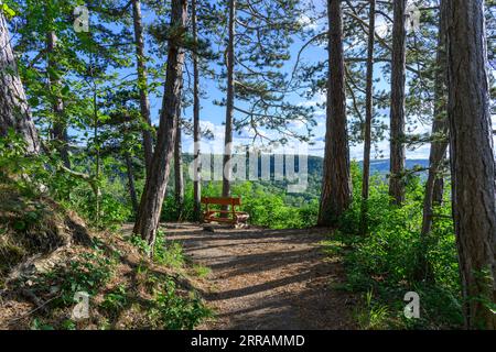 A bench on trail near the city of Jena in Thuringia, Germany Stock Photo