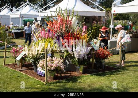 Horticulturist enthusiasts enjoy the hot temperatures at RHS Wisley annual flower show, Surrey, England, UK. 07th Sep, 2023. Credit: Jeff Gilbert/Alamy Live News Stock Photo