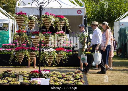 Horticulturist enthusiasts enjoy the hot temperatures at RHS Wisley annual flower show, Surrey, England, UK. 07th Sep, 2023. Credit: Jeff Gilbert/Alamy Live News Stock Photo