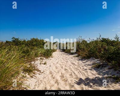Low angle shot of a sandy trail winding through Captree Beach on the island of Long Island Stock Photo