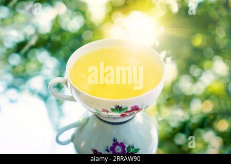 Cup of tea against blurred natural green background for drinks and beverage concept Stock Photo