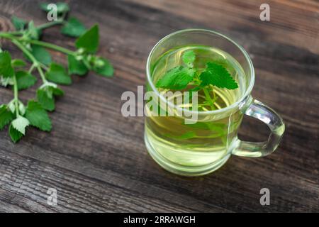 clear glass tea cup on table with green leaves background with soft sunlight in the morning, giving fresh feeling Relaxing and calm, with space for te Stock Photo