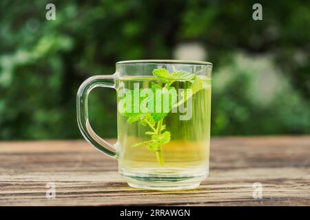 Cup of tea with mint leafs on wooden table. Healthy melissa tea natural organic aromatic drink in glass cup Stock Photo