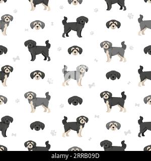 Schnoodle seamless pattern. Schnauzer Poodle mix. Different coat colors set.  Vector illustration Stock Vector