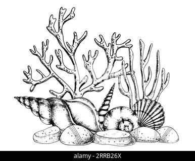 Underwater engraved composition with Seashells and Corals on isolated background. Hand drawn vector illustration of Seaweeds and seabed. Drawing of undersea in line art style painted by black inks. Stock Vector