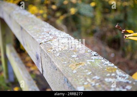 old wooden railing with lichens on it Stock Photo - Alamy