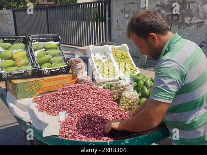 210828 -- BEIRUT, Aug. 28, 2021 -- A vendor sells fresh pistachios on the roadside in Nabatiyeh, Lebanon, Aug. 27, 2021. In the Middle East, people call pistachio the smiling nut because the split shell resembles a smile. The cultivation of pistachio began to recover and expand in Lebanon several years ago, benefiting from the assistance of local and international agricultural associations. Photo by /Xinhua LEBANON-HASBAYA-PISTACHIO-PLANTING TaherxAbuxHamdan PUBLICATIONxNOTxINxCHN Stock Photo