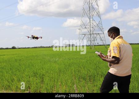 210906 -- KALUNGU, Sept. 6, 2021 -- Local technician Herbert Agaba controls a plant protection drone to spray pesticides at a Chinese-run rice farm in Lukaya, Kalungu District in Uganda, June 2, 2021. TO GO WITH Feature: Uganda boosts agricultural commercialization with help of Chinese technologies  UGANDA-CHINESE-RUN RICE FARM-AGRICULTURE-TECHNOLOGY ZhangxGaiping PUBLICATIONxNOTxINxCHN Stock Photo