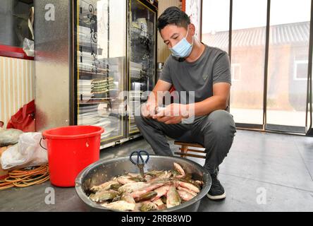 210908 -- TIANJIN, Sept. 8, 2021 -- Li Chao processes fish in Xiaoxinmatou Village of Baodi District in Tianjin, north China, Sept. 3, 2021. Li Chao is a post-90s born in Xiaoxinmatou Village in Baodi District. Located by the Chaobai River, the village used to witness an outflow of young people, as villagers made a living by traditional fishing and farming with low income. Like his young fellows, Li chose to be a migrant worker in the city for higher income. Waiter, chef, assembly line worker, security guard and salesman...the diligent man tried his hand at a variety of jobs over the past year Stock Photo