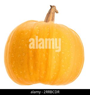 Orange round pumpkin isolated on white background Stock Photo