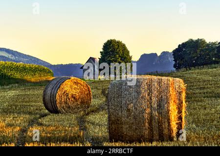 The “Schällhüsli” in the municipality of Brislach BL Stock Photo