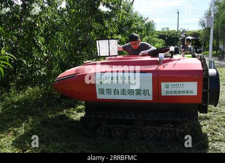 210919 -- BEIJING, Sept. 19, 2021 -- Lin Guihai, a college students from China Agricultural University, checks an autopilot sprayer in Future Orchard in Xiying Village of Yukou Township in Pinggu District of Beijing, capital of China, Aug. 25, 2021. Future Orchard is a high-tech orchard founded by local government with China Agricultural University and other enterprises. The orchard has a lab and four hectares of land with peach and kiwi trees. With the help of intelligent monitoring system for data analysis, accurate management and visual diagnosis on the environment of fruit trees, the orcha Stock Photo