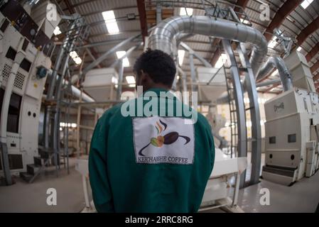 211025 -- ADDIS ABABA, Oct. 25, 2021 -- An employee of Kerchanshe Trading Private Limited Company PLC operates a machine at a coffee processing plant in Addis Ababa, Ethiopia, on Oct. 21, 2021. Kerchanshe Trading Private Limited Company PLC, the largest producer and exporter of coffee in Ethiopia, says the upcoming 4th China International Import Expo CIIE will create a huge opportunity for coffee-producing and exporting companies.  TO GO WITH Interview: CIIE creates huge opportunity for Ethiopian coffee exporters ETHIOPIA-ADDIS ABABA-COFFEE-EXPORTER-CHINA-CIIE-MARKET-OPPORTUNITY MichaelxTeweld Stock Photo