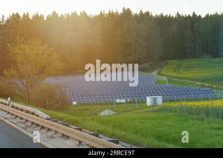 Solar panels of a power plant in a clearing near the forest in the evening, against the backdrop of the setting sun. Stock Photo