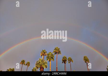 Palm Springs, California, USA. 23rd Jan, 2017. A rainbow framing the Palm Trees illuminated by the Sun rising in the East. A faint second rainbow above it. (Credit Image: © Ian L. Sitren/ZUMA Press Wire) EDITORIAL USAGE ONLY! Not for Commercial USAGE! Stock Photo